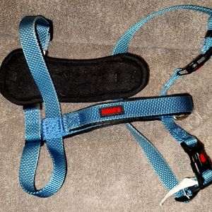 Kong Dog Comfort Padded Harness - Small, Blue